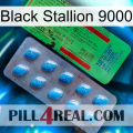 Black Stallion 9000 new03